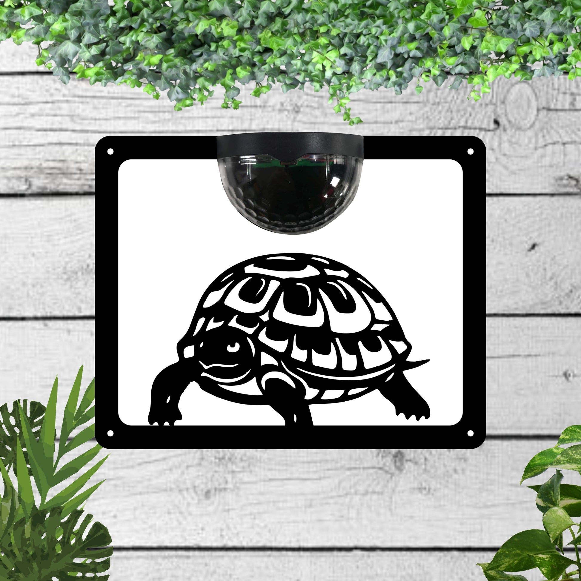 Garden Solar Light Wall Plaque With a Tortoise | John Alans