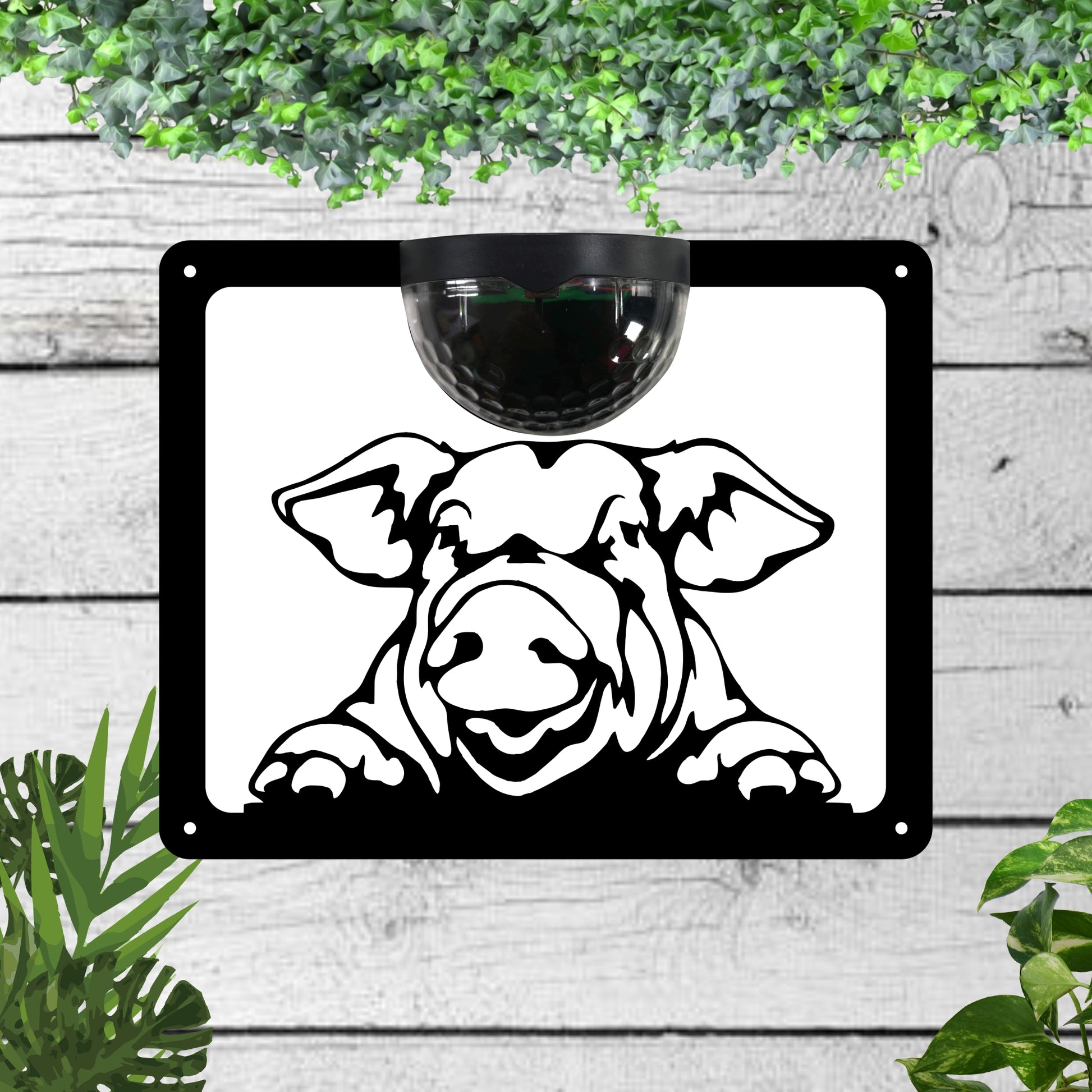 Garden Solar Light Wall Plaque with a Pig | John Alans