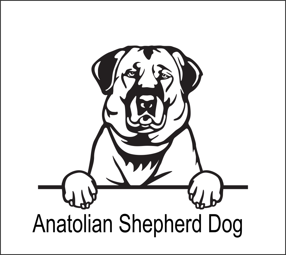 Copy of Dog Memorial Dog Collar Display Plaque (dog breeds A to D) | John Alans