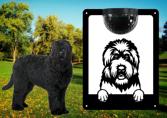 Garden Solar Light Wall  Plaque Featuring a Black Russian Terrier | John Alans