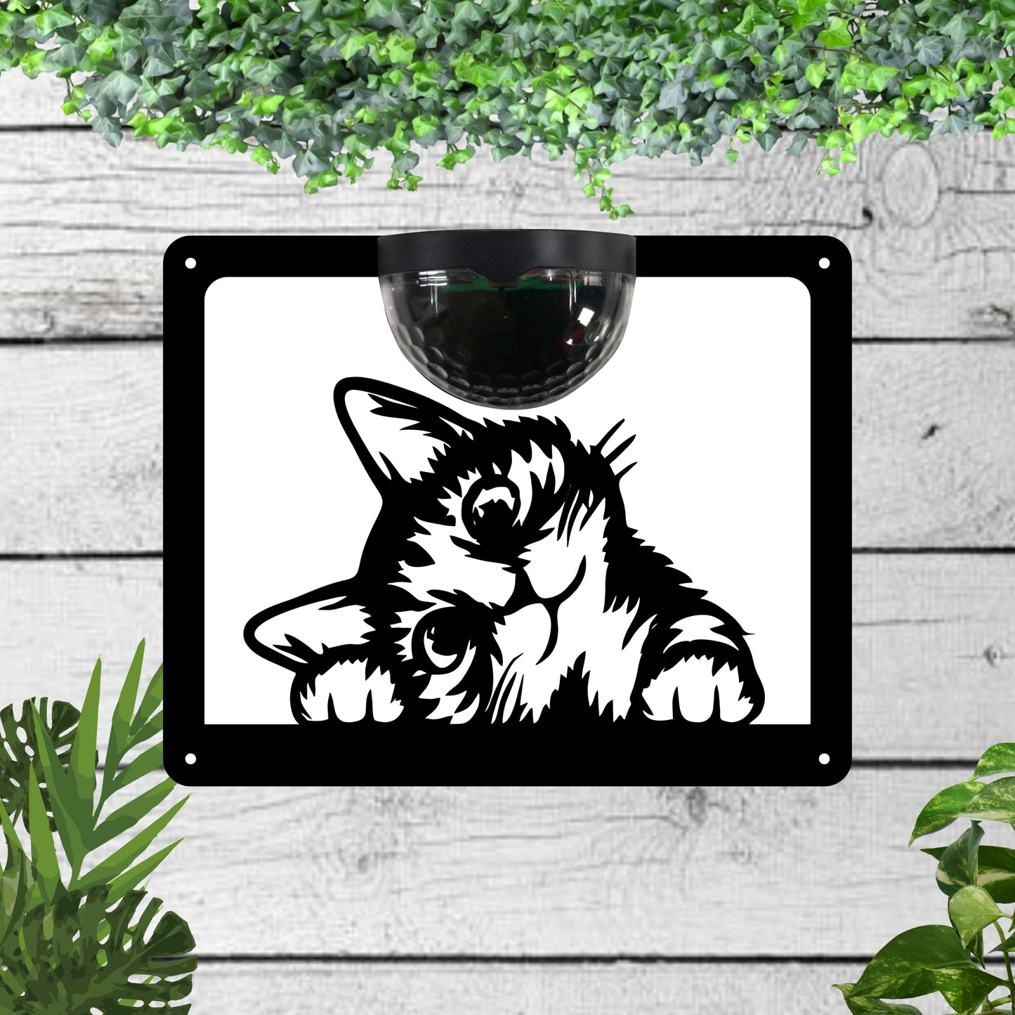 Garden Solar Light Wall Plaque Featuring a Cat | John Alans