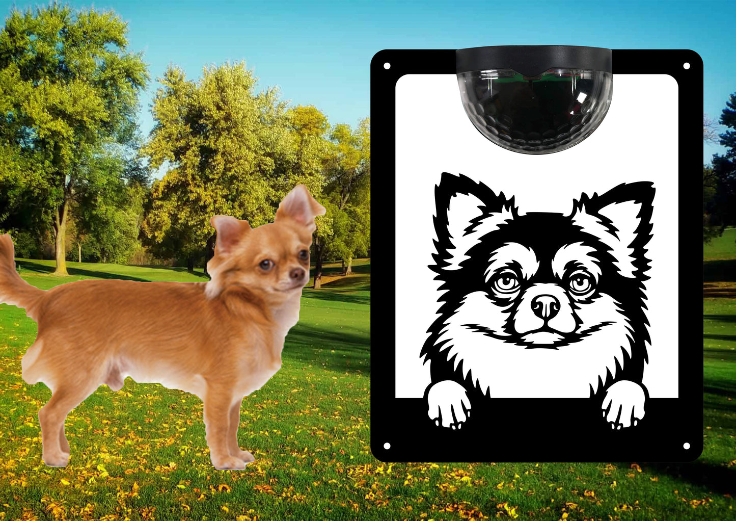 Garden Solar Light Wall  Plaque Featuring a Chihuahuas-Long Haired | John Alans
