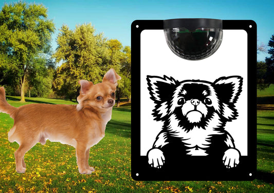 Garden Solar Light Wall  Plaque Featuring a Chihuahuas-Long Haired (2) | John Alans