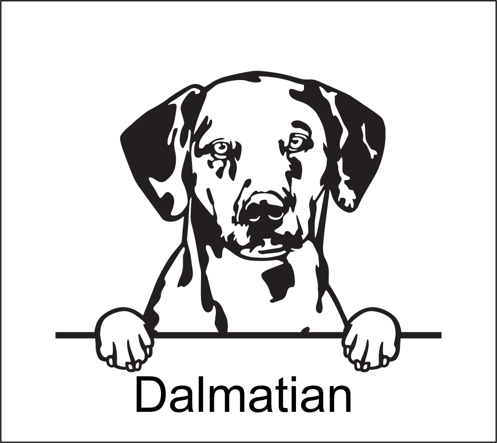 Copy of Dog Memorial Dog Collar Display Plaque (dog breeds A to D) | John Alans