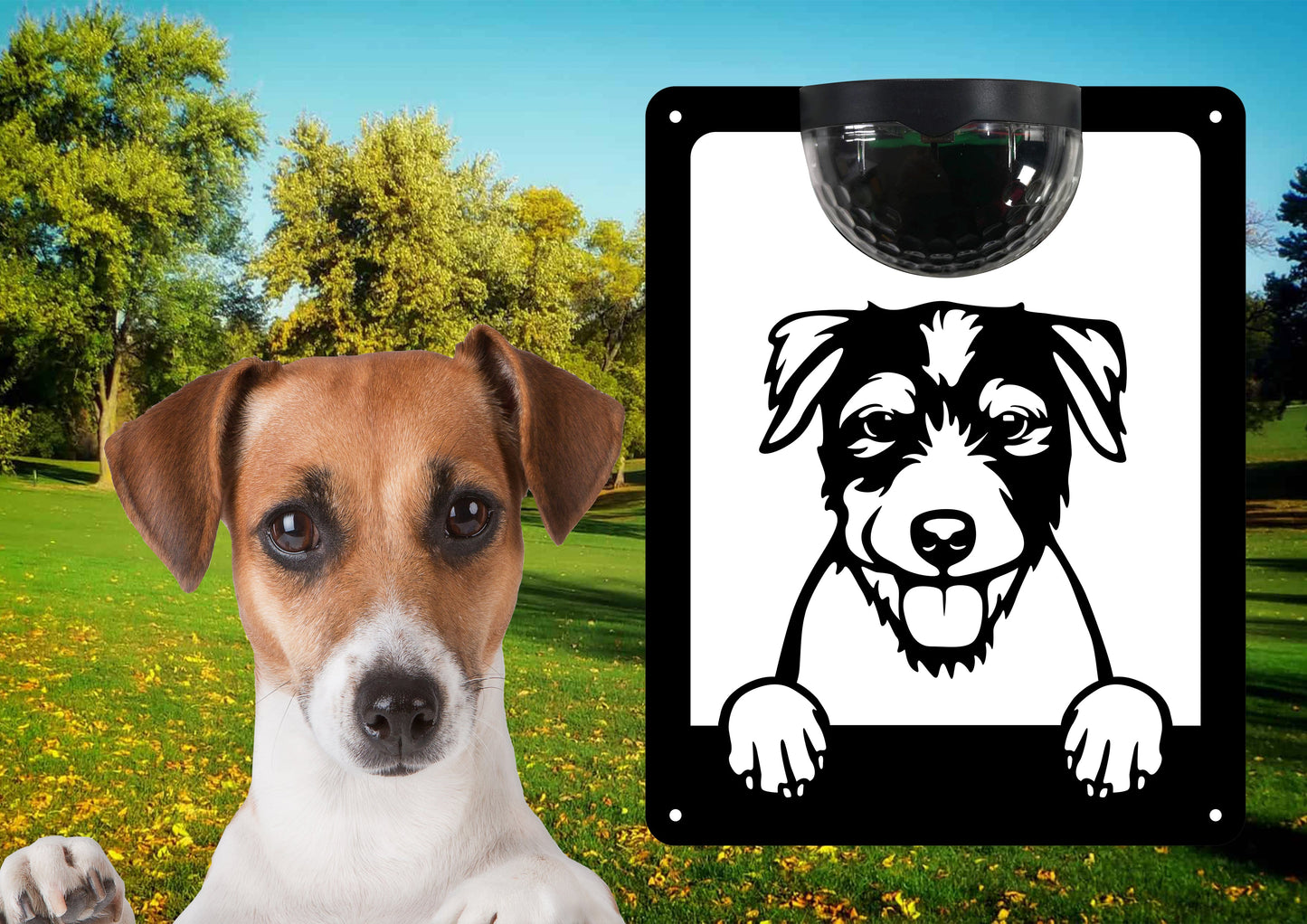 Garden Solar Light Wall  Plaque Featuring a Jack Russell Terrier 2 | John Alans