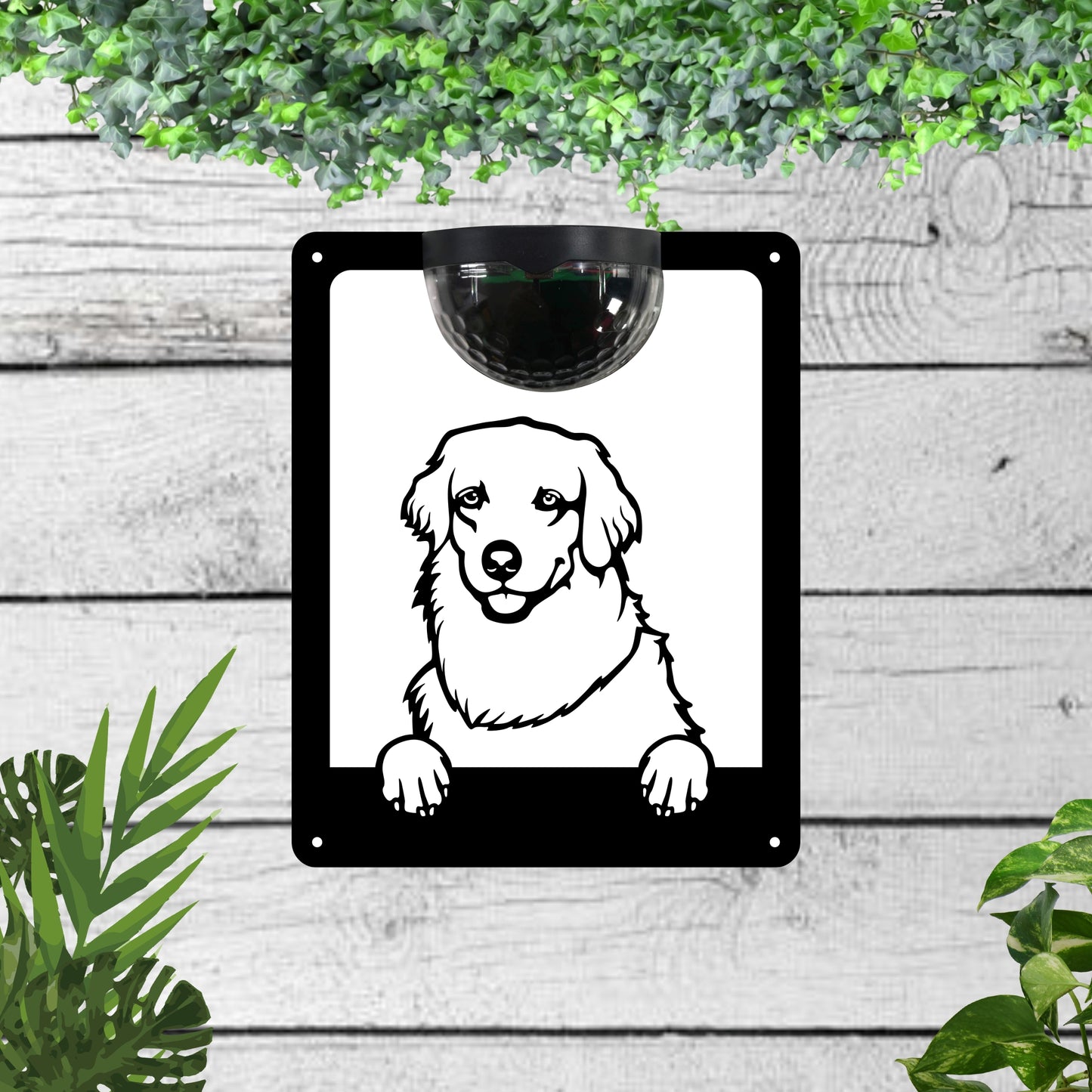 Dog Solar Wall plaque (dog breeds E to O) | John Alans