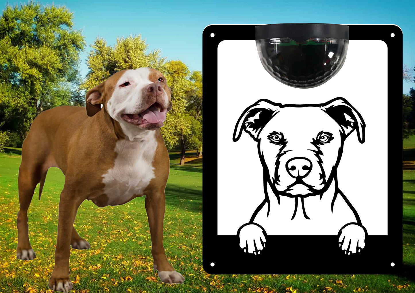 Garden Solar Light Wall Plaque Featuring a Pitbull (American Bull Terrier) | John Alans