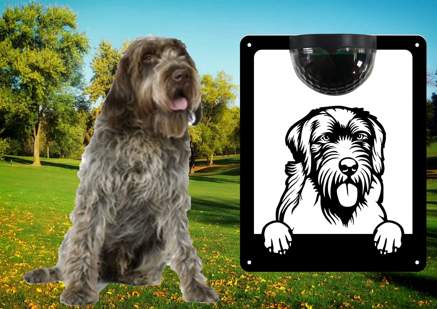 Garden Solar Light Wall Plaque Featuring a Wirehaired Pointing Griffon | John Alans