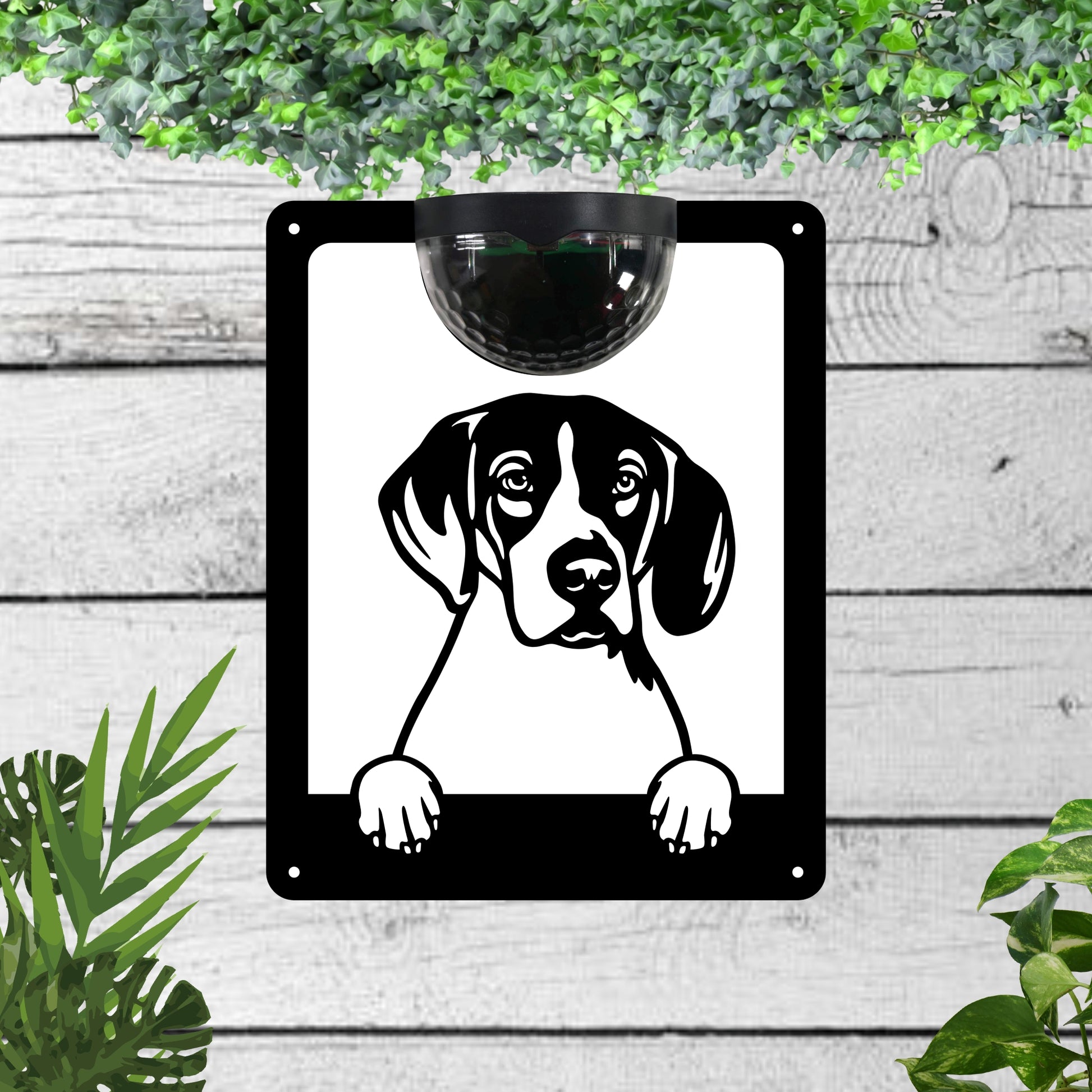 Dog Solar Wall plaque (dog breeds E to O) | John Alans