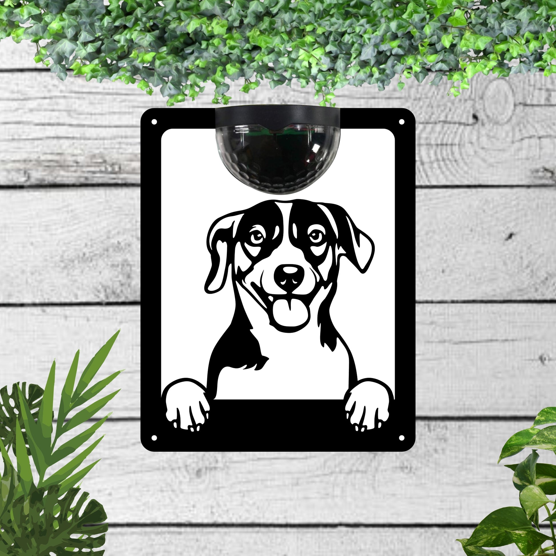Dog Solar Wall Plaque (dog breeds P to Y) | John Alans