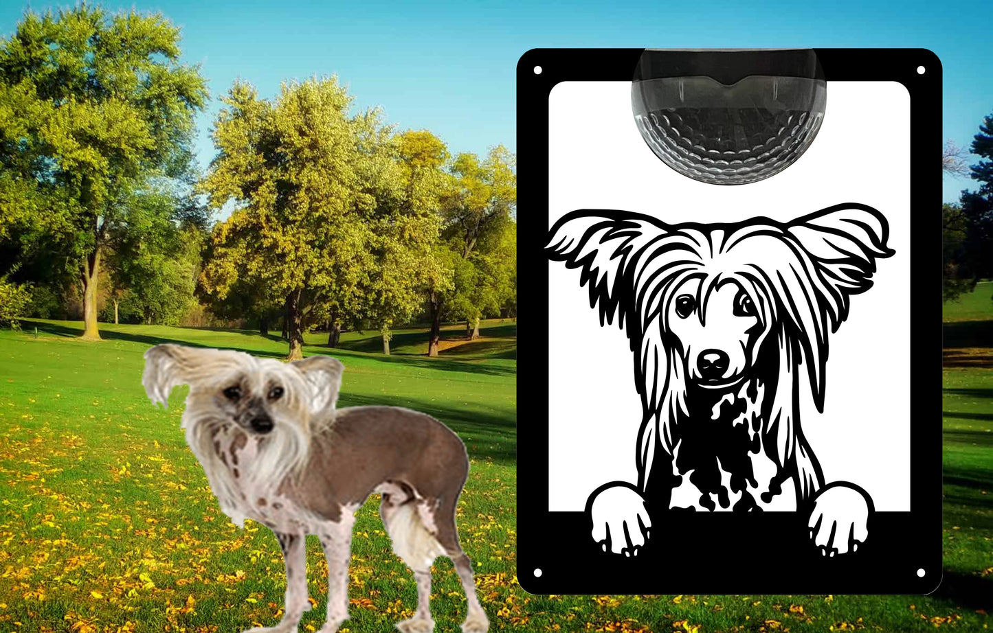 Garden Solar Light Wall Plaque Featuring a chinese crested